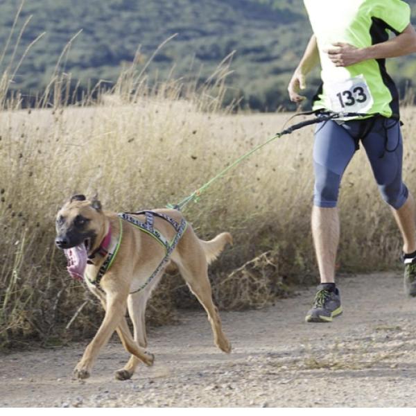 Cani-cross 5 & 8km